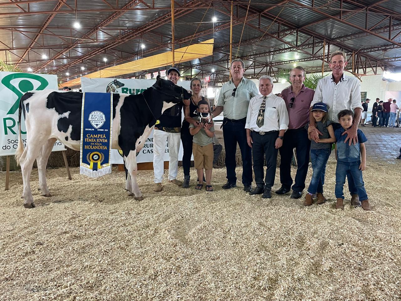 Julgamento da Raça Holandesa movimenta 43ª EXPOVEL 2024 em Cascavel